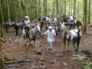 rutas a caballo asturias,rutas a caballo en asturias picos de europa.hipico,hipica